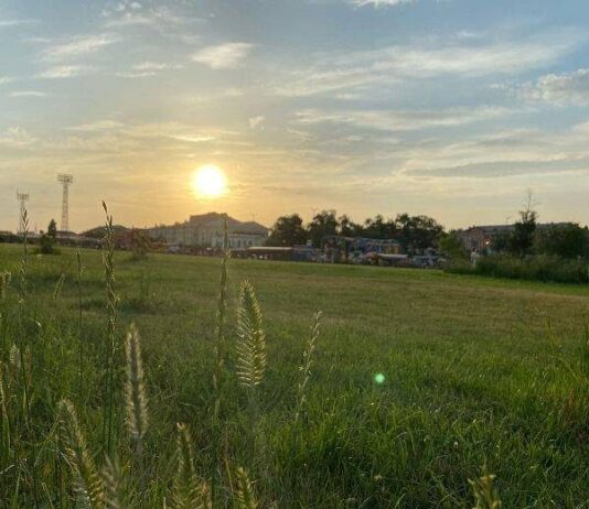 Что можно и что нельзя делать 29 июня, в день Тихона Утешителя