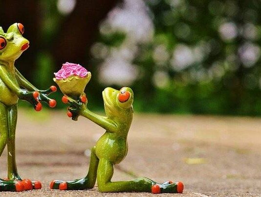 Какой праздник отмечают в мире сегодня, 7 июля 2023 года