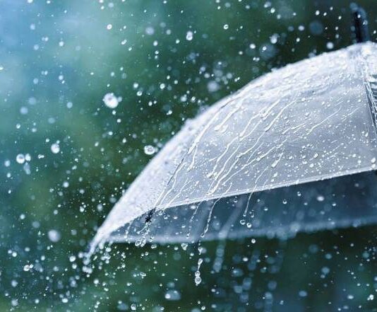 Почему на Евсеев день 5 июля наши предки ждали дождя