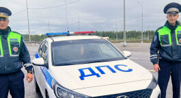 В Тульской области автоинспекторы оказали помощь женщине-водителю легкового автомобиля