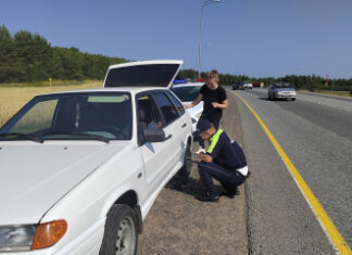 Сотрудники Госавтоинспекции Татарстана оказали помощь автомобилисту на дороге