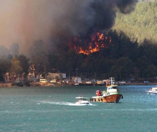 Турция борется с неудержимыми лесными пожарами: эвакуированы более тысячи человек