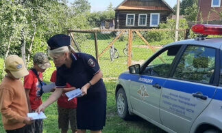 В Новгородской области дети и их родители получили консультации по правилам безаварийного движения на дворовых территориях