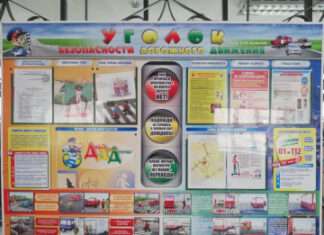 В Рязани сотрудники Госавтоинспекции принимают участие в актуализации паспортов безопасности дорожного движения образовательных организаций