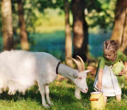 Категорические запреты и обязательные дела 15 сентября, в церковный праздник святых Маманта и народного князя Олега