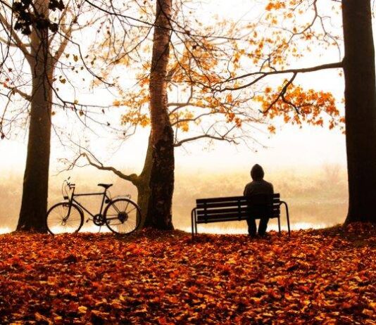 Магия и возможности полнолуния в Рыбах 29 сентября 2023 года