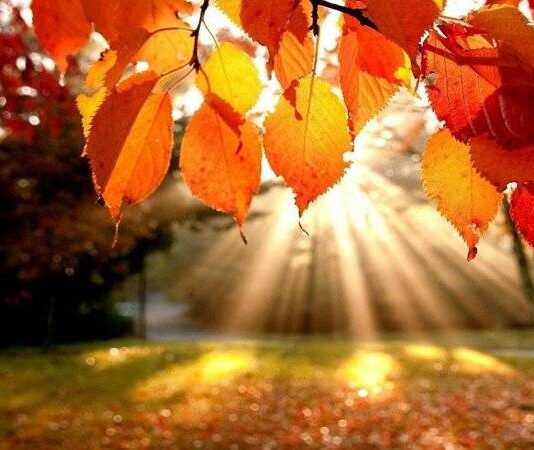 Попразднство Рождества Пресвятой Богородицы 22 сентября: традиции и приметы