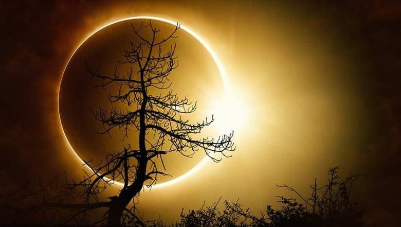 
Последнее солнечное затмение 2023 года: точная дата и особенности                