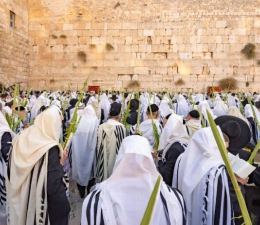 Суккот-2023: традиции еврейского праздника кущей