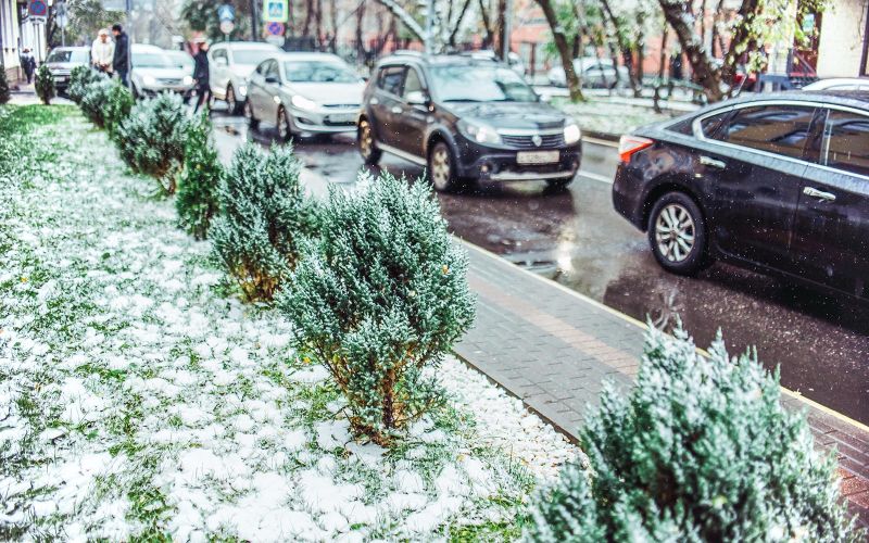 
            В Москве рекомендовали отказаться от езды на летних шинах из-за снегопада
        