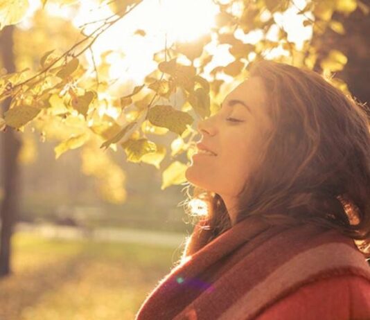 День вдыхания осеннего воздуха 11 октября: красивые открытки в праздник ароматов и стихов