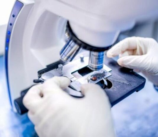 Феномен, поражающий воображение: ученые назвали части тела человека, которые живут спустя годы после вашей смерти