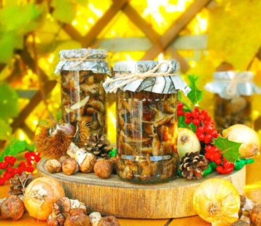 Грибные угощения на зиму: три лучших рецепта с опятами