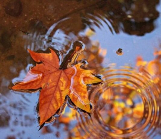 Народный праздник Ерофеев день: почему лучше не выходить из дома 17 октября 2023 года