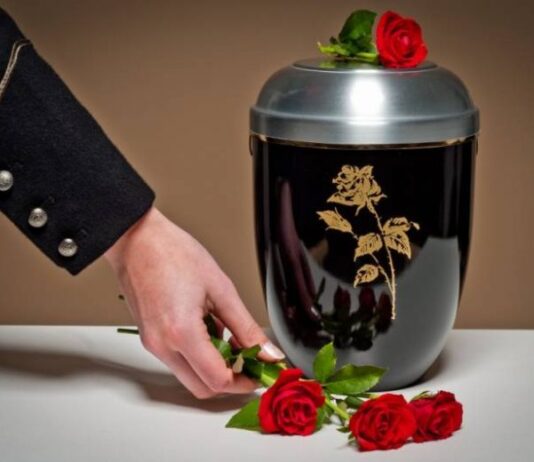 Осознанный выбор: почему кремация — более экологичный и практичный способ захоронения