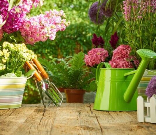 Посадочный календарь с 19 октября 2023 года