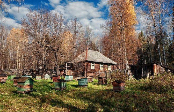 
Праздник святых Трофима и Зосимы 2 октября: традиции, запреты и сильная молитва                