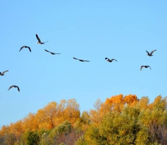 Праздники в России и мире сегодня, 8 октября 2023 года