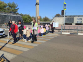 В Международный день белой трости на Ставрополье прошли широкомасштабные профилактические мероприятия