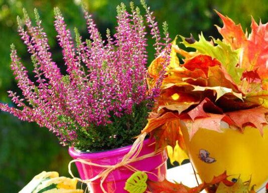 День богини Доли 24 ноября 2023 года: как заручиться ее поддержкой и изменить свою судьбу