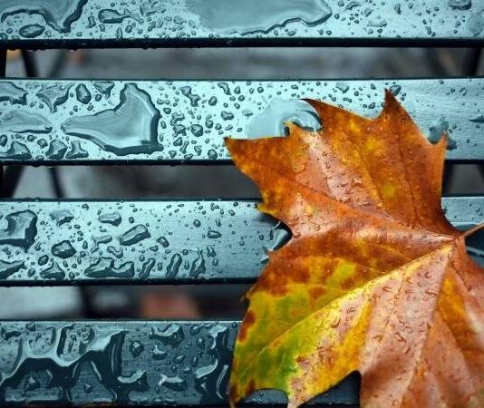 День всех святых 1 ноября: почему мертвые приходят к живым и что нужно сделать в этот особый день