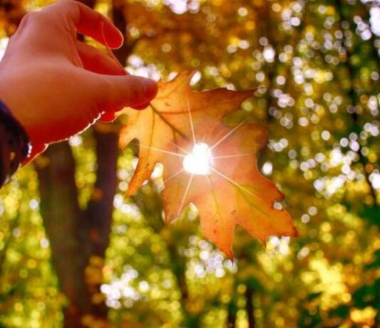 Гороскоп от Ирины Богдан на 19 ноября 2023 года для всех знаков зодиака