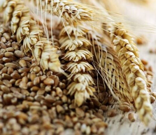 Как загадывали желание на Житницу 15 ноября, чтобы оно сбылось, и почему на Руси в этот день просили прощения