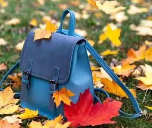 Осенние каникулы: когда школьникам возвращаться за парты — 6 или 7 ноября 2023 года