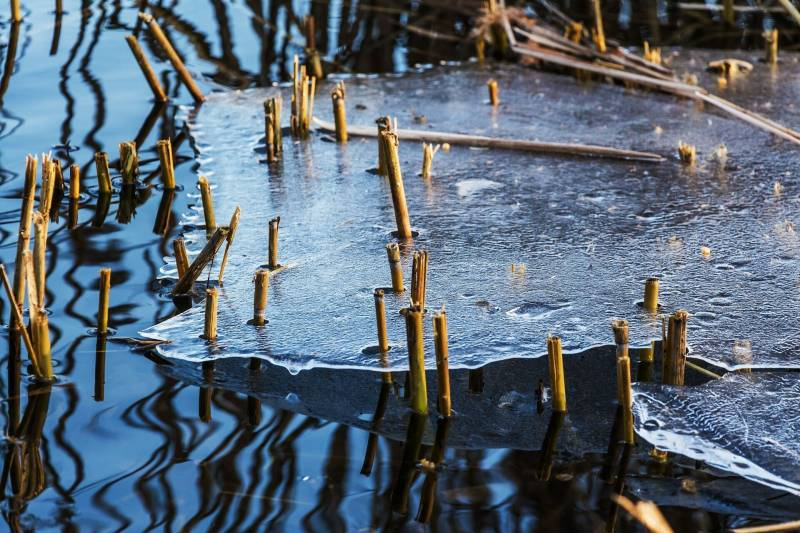 
Павел Ледостав 19 ноября: как на Руси рыбаки задабривали водяного и определяли по льду будущий урожай                