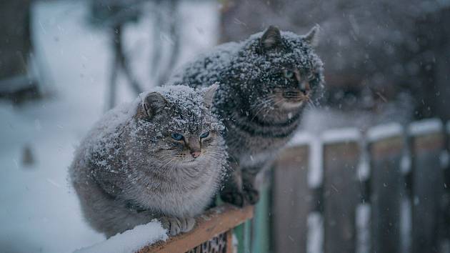 Народные приметы и праздники 30 декабря 2023 года: что нельзя делать в этот день, обряды