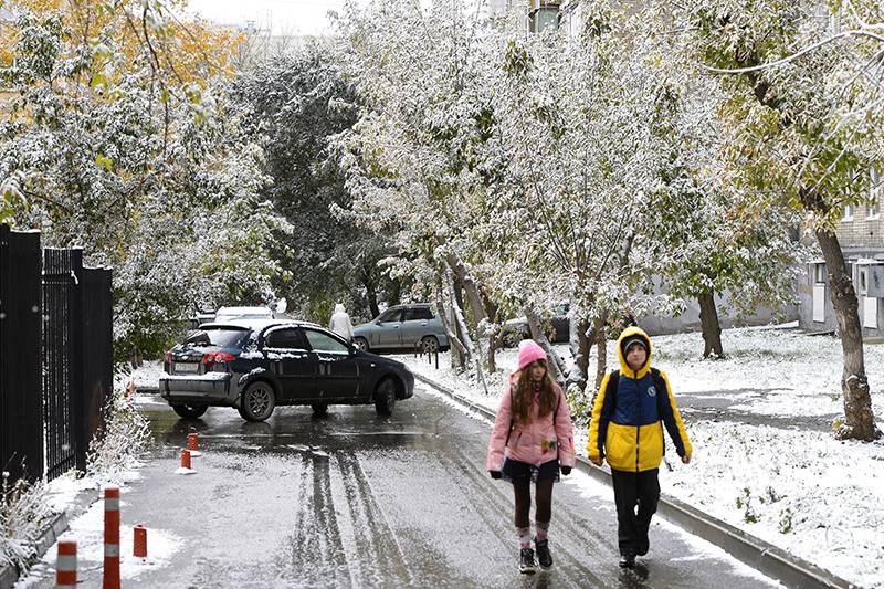 Погода в России: новогодние каникулы 2024 года обещают морозы и снег