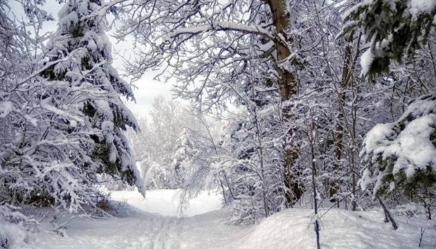 Что хозяйки выпекали на Федулов день 5 января и почему избегали острых предметов