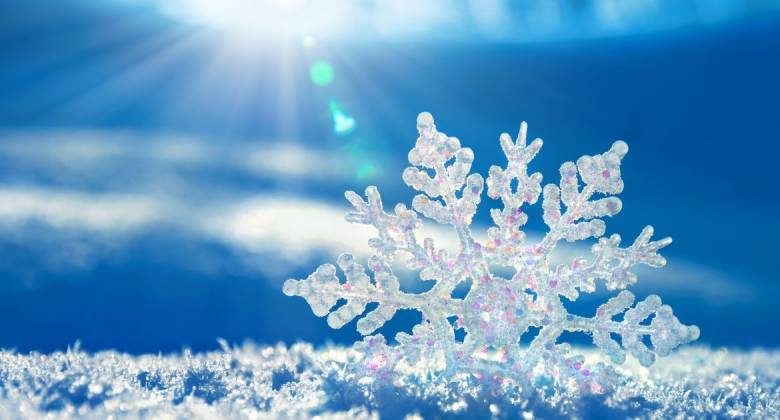 
Как в Домочадцев день 10 января 2024 года укрепить в семье мир и согласие                