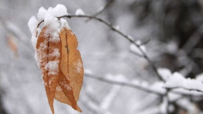 
Какой церковный праздник отмечают верующие 5 января 2024 года                