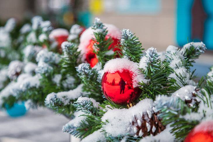 Не спешите выбрасывать: что делать с елкой после Нового года 2024