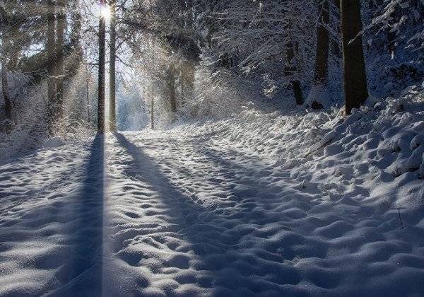 Почему на Игнатьев день 2 января проводили крестный ход вокруг дома, а праздник называли «яблочным»