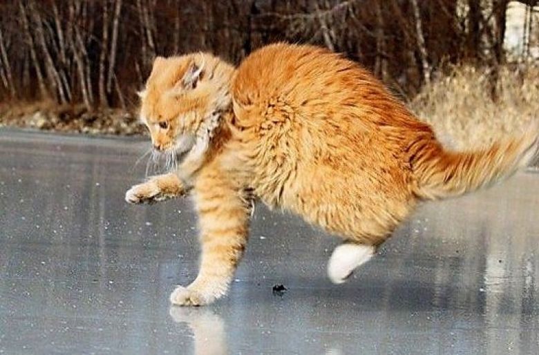 Последствия падения на гололеде: какие виды помощи доступны для пострадавших