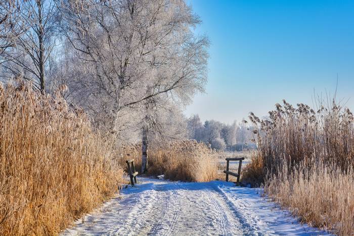 Праздник 3 января: почитание святой княгини Ольги и Прокопьев день