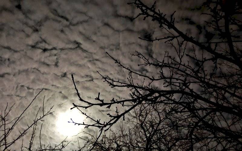 
В Страшный день младенца береги: народные приметы, обряды и запреты на 11 января 2024 года                