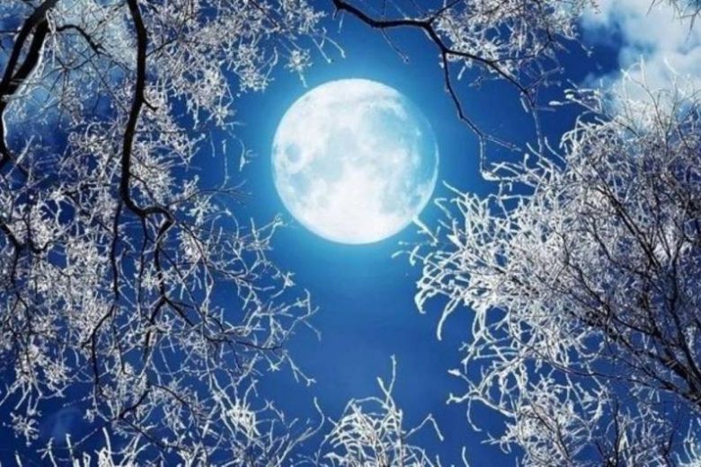 Волчье новолуние в Козероге: энергетический заряд для Нового года