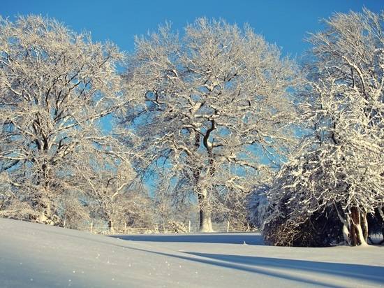 
Значение и приметы праздника Рождественский мясоед, отмечаемого 10 января                