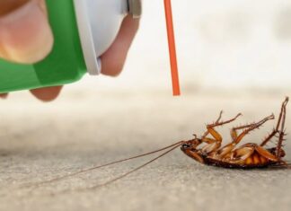 Как уничтожить тараканов раз и навсегда