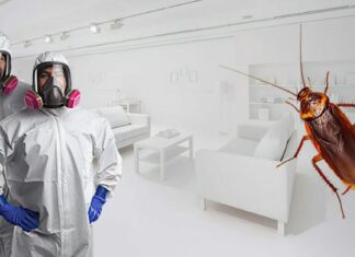 Методы уничтожения тараканов в доме