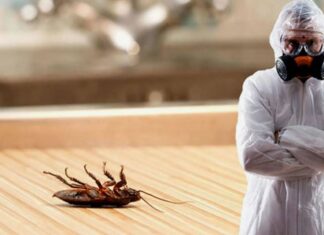 Профессиональное уничтожение тараканов