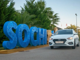 Прокат автомобилей в Сочи для комфортных поездок вдоль Черноморского побережья