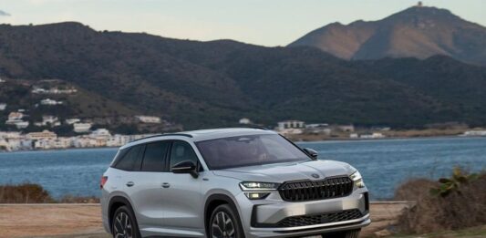 В Россию приехали Skoda Kodiaq казахстанской сборки. Взгляните на цены