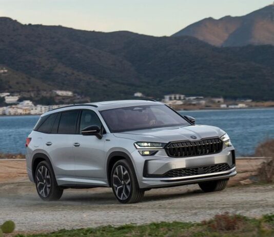 В Россию приехали Skoda Kodiaq казахстанской сборки. Взгляните на цены