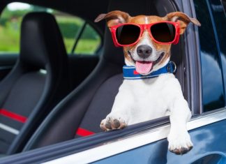 Август – время подарков: Kolesa.ru объявляют о старте нового конкурса в Telegram-канале