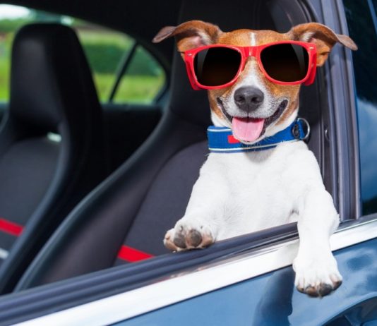 Август – время подарков: Kolesa.ru объявляют о старте нового конкурса в Telegram-канале