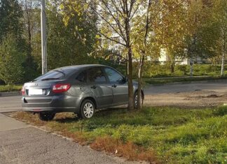 Общая сумма штрафов за неправильную парковку в Подмосковье превысила 25 млн рублей